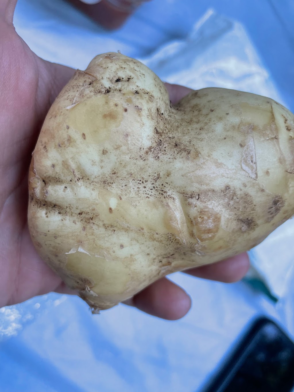 Black Label Farm Stand | 6199 Dunboyne Rd, Courtenay, BC V9J 1M8, Canada | Phone: (250) 709-2645