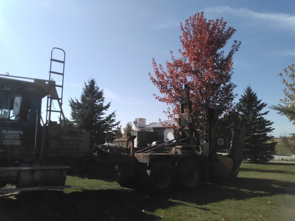 Maple Valley Inc | 633474 Road 63, Badjeros, ON N0C 1A0, Canada | Phone: (519) 923-6980