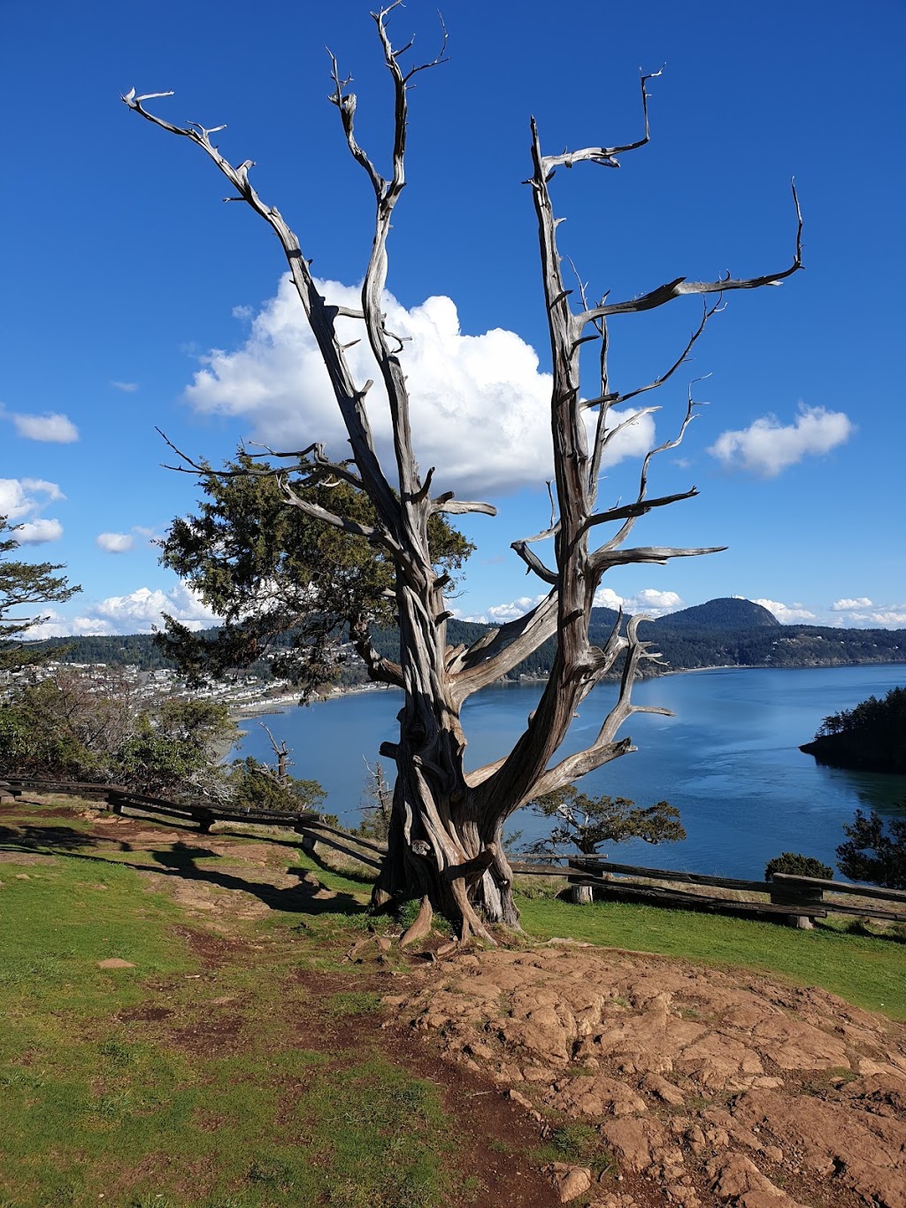 Washington Park | 6300 Sunset Ave, Anacortes, WA 98221, USA | Phone: (360) 293-1918