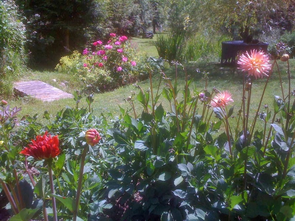 Duthie Gallery and Gallery B&B | 125 Churchill Rd, Salt Spring Island, BC V8K 2R3, Canada | Phone: (250) 537-9606