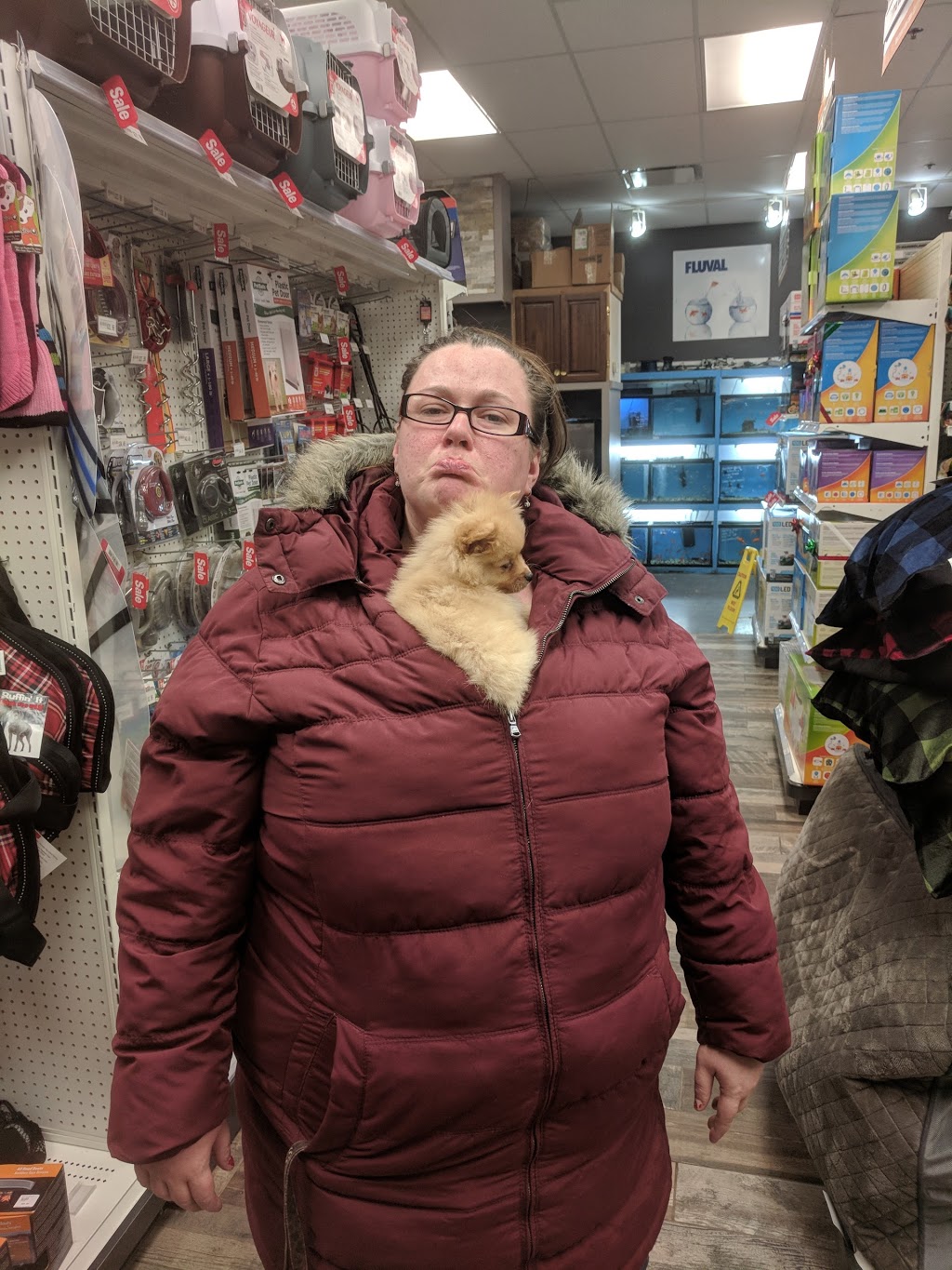 Ruffins Pet Centre- Stratford | 1067 Ontario St, Stratford, ON N5A 6W6, Canada | Phone: (519) 271-8739