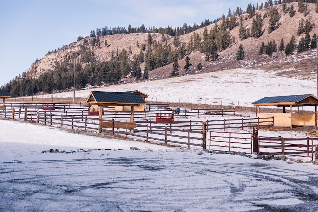 The Horse Palace | 6221 Ha Ha Creek Rd, Wardner, BC V0B 2J0, Canada | Phone: (250) 464-0606