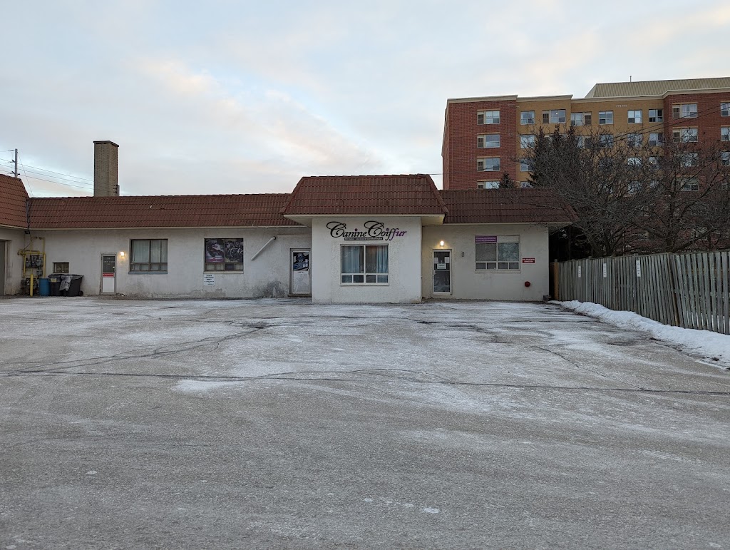 Canine Coiffur | Crumbie St, Mississauga, ON L5M 1H7, Canada | Phone: (905) 542-7387