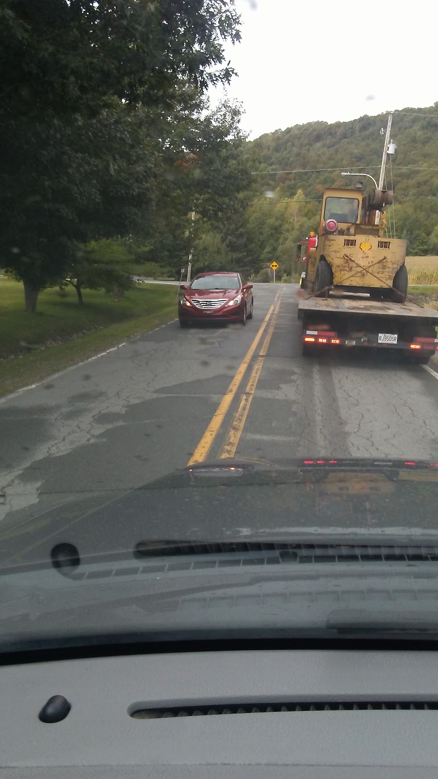 Pouponnieres De La Montagne | 1800 Rang Mawcook, Saint-Paul-dAbbotsford, QC J0E 1A0, Canada | Phone: (450) 776-1096