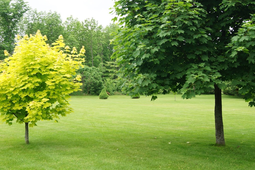 Simcoe Curb Appeal Property Services | 45 Pepler Place, Barrie, Ontario L4N 5W5, Barrie, ON L4N 5E3, Canada | Phone: (705) 241-0354