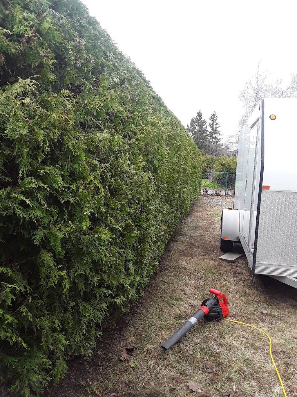 Entretiens paysager les ptits bonheurs de Jane | 3500 Rue Paul, Terrebonne, QC J6Y 1A9, Canada | Phone: (438) 808-7200