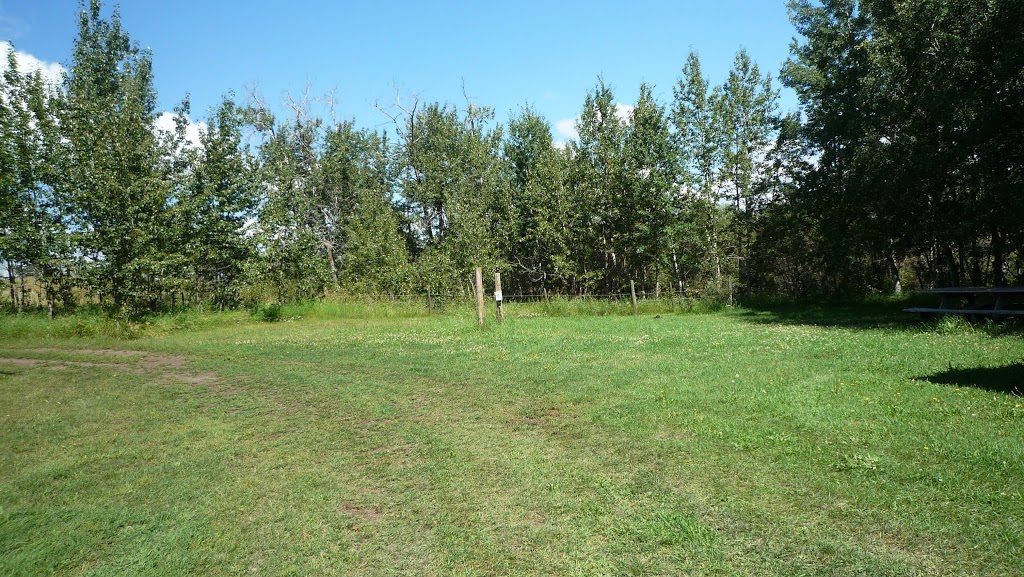Mcleod Creek Farm and Campground | Sturgeon County, AB, 56415 Hwy 28, Box 966, Gibbons, AB T0A 1N0, Canada | Phone: (780) 913-5405