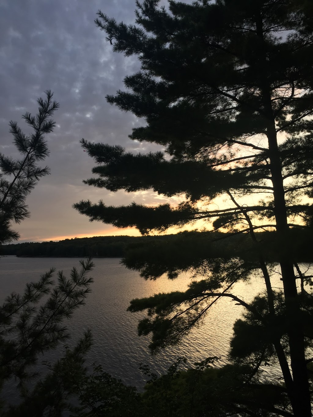 Mindfulness Psychotherapy | 80 Centre St, Thornhill, ON L4J 1E9, Canada | Phone: (416) 878-5667