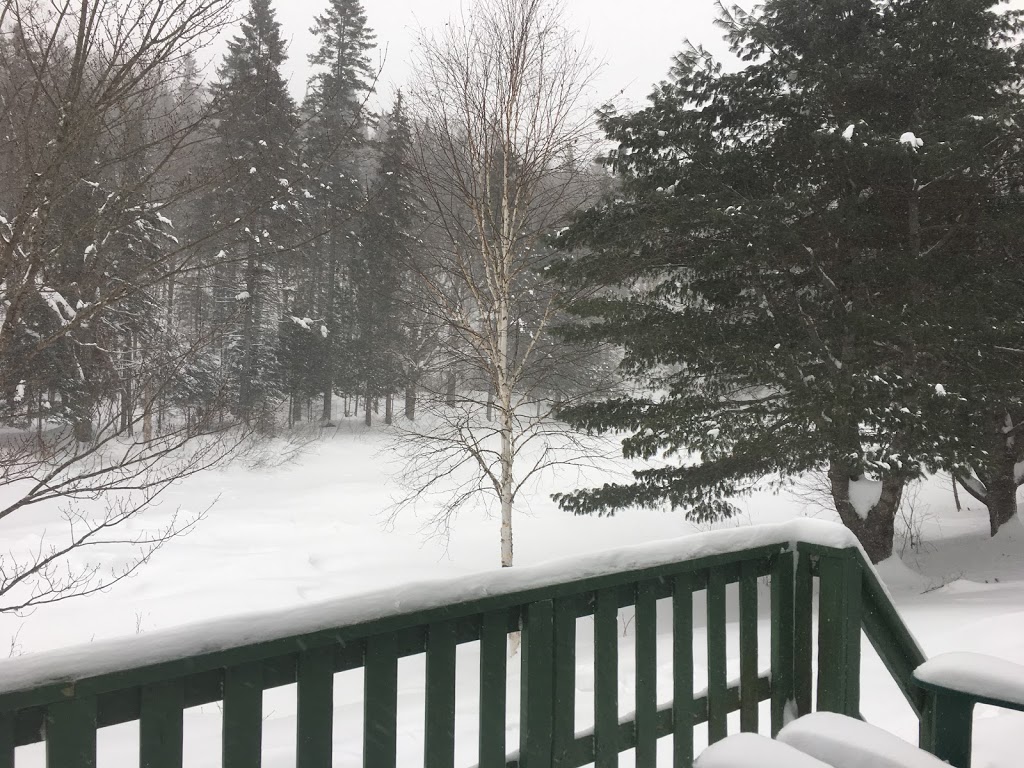 Chalet Gagville | 1715 Chemin du Parc, Mandeville, QC J0K 1L0, Canada | Phone: (514) 264-6574