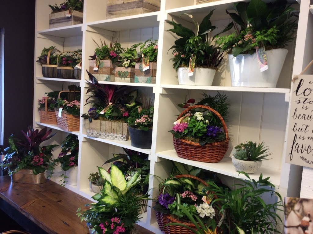 Lavender Floral | 7905 Yonge St, Innisfil, ON L9S 1K9, Canada | Phone: (705) 436-1322