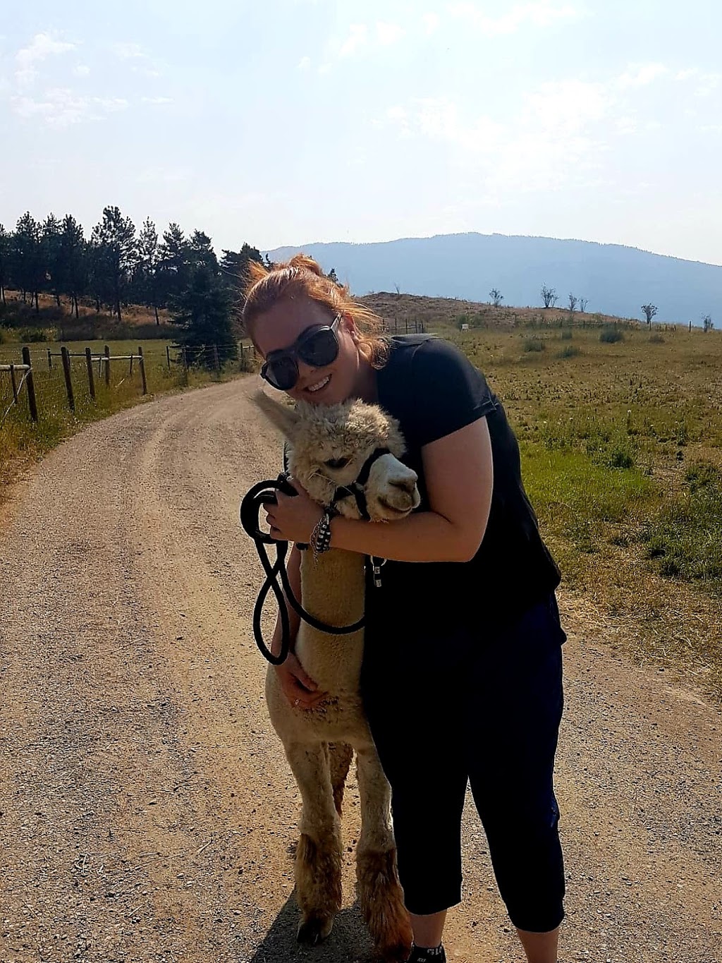 Camelot Haven Alpacas | Vernon, BC 1P9, 6841 Raven Rd, Vernon, BC V1H 1P9, Canada | Phone: (250) 549-2959