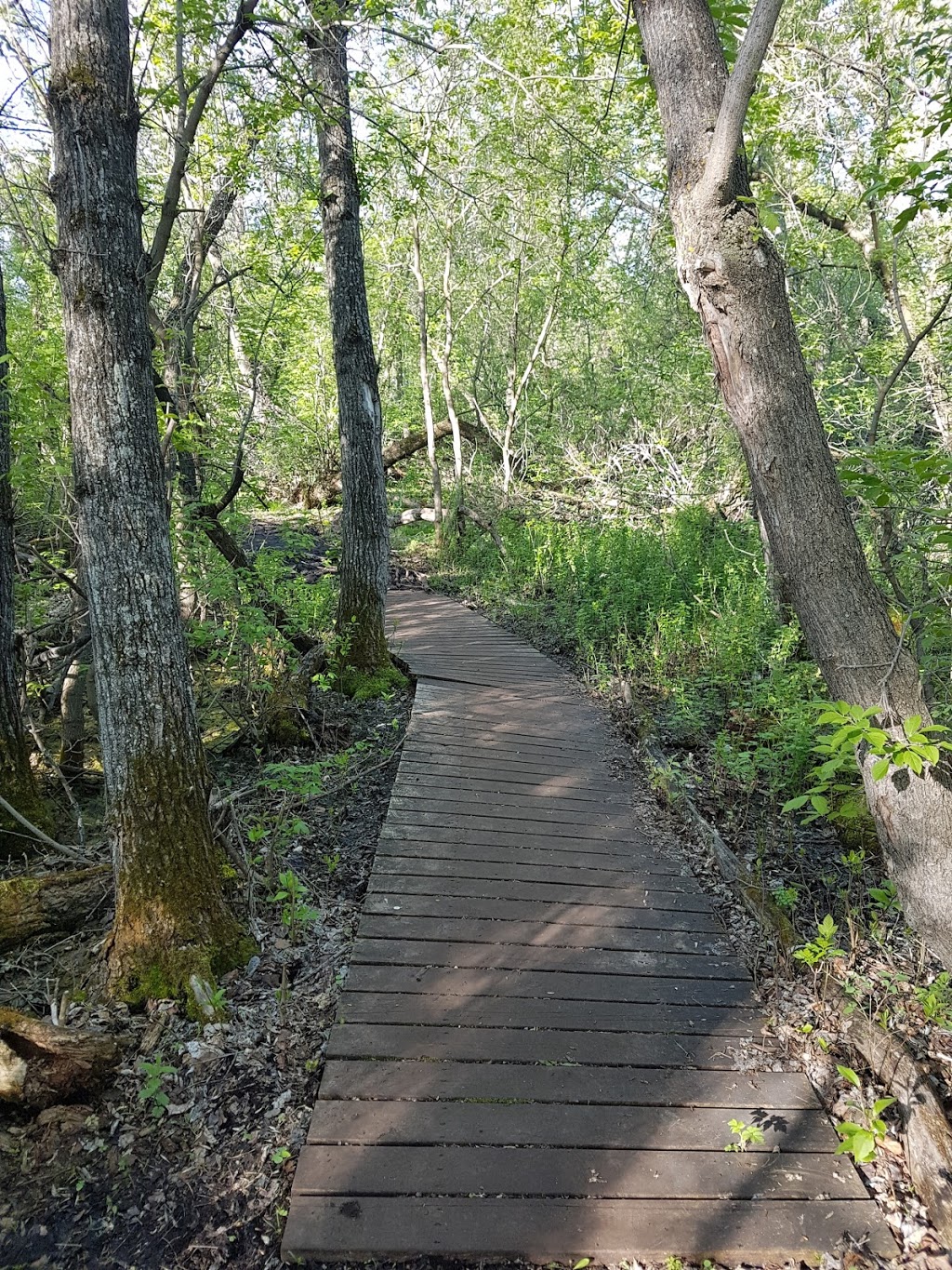Pike Lake Nature Trail | Vanscoy No. 345, SK S0K 1K0, Canada | Phone: (306) 933-6966