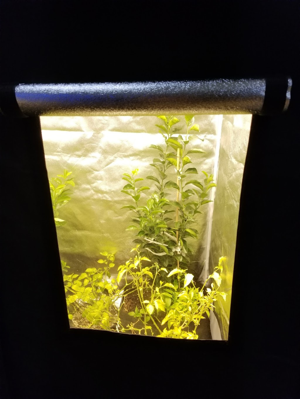 Holland Industry - Hydroponics Garden Supplies North York | 573 Fenmar Dr, North York, ON M9L 2R6, Canada | Phone: (416) 736-1732