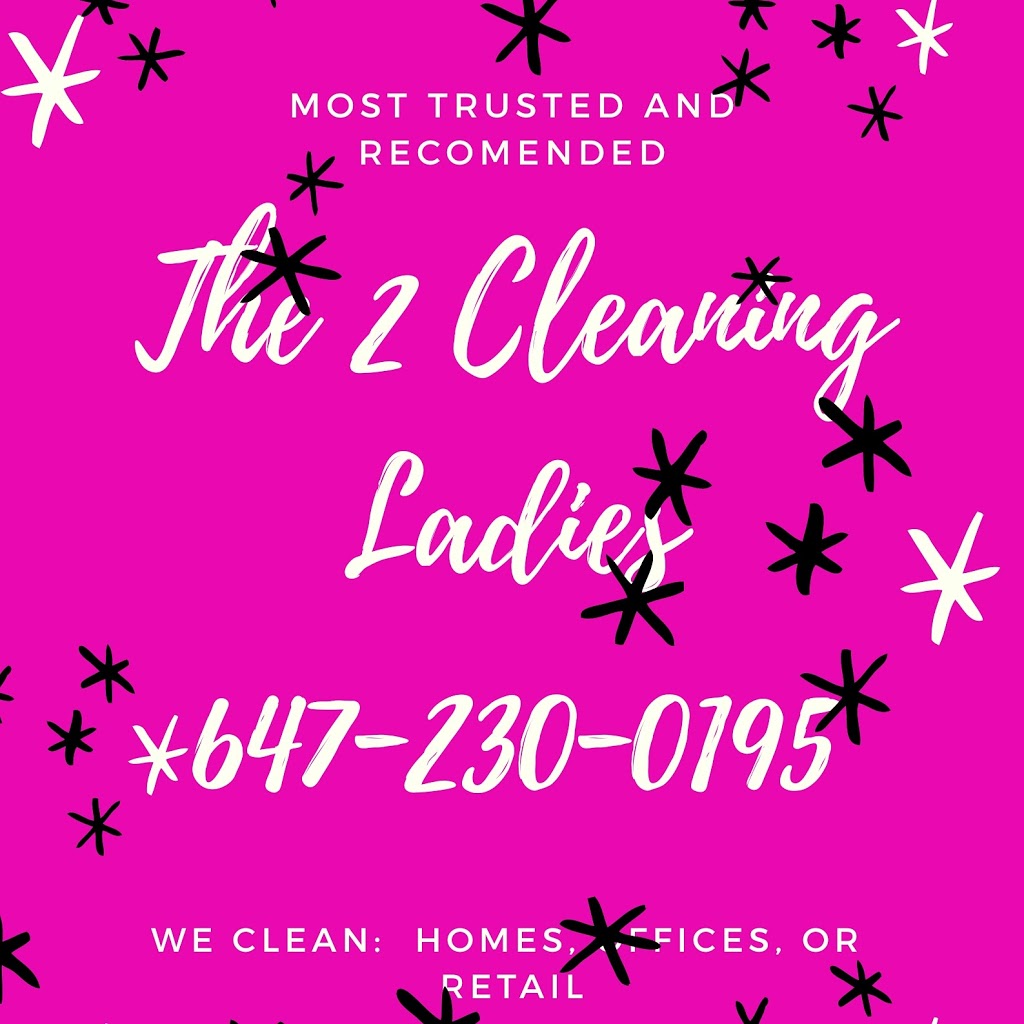 The2CleaningLadies | 1255 The Queensway, Etobicoke, ON M8Z 1A1, Canada | Phone: (647) 230-0195