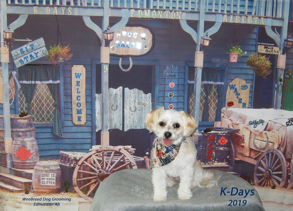 WeeBreed Dog Grooming | 9 McLeod Road Northwest As 9 McLeod Place Grey Townhouses McLeod Place, 53 St NW, Edmonton, AB T5A 3A8, Canada | Phone: (780) 473-6591