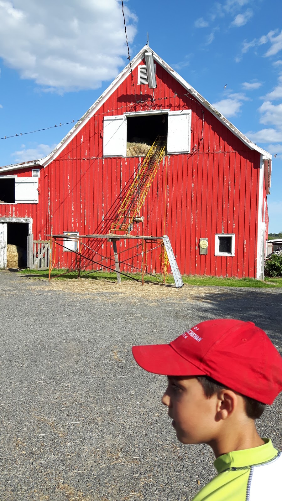 Millbrook Farms | 487 New Ross Rd, Windsor, NS B0N 2T0, Canada | Phone: (801) 631-2516