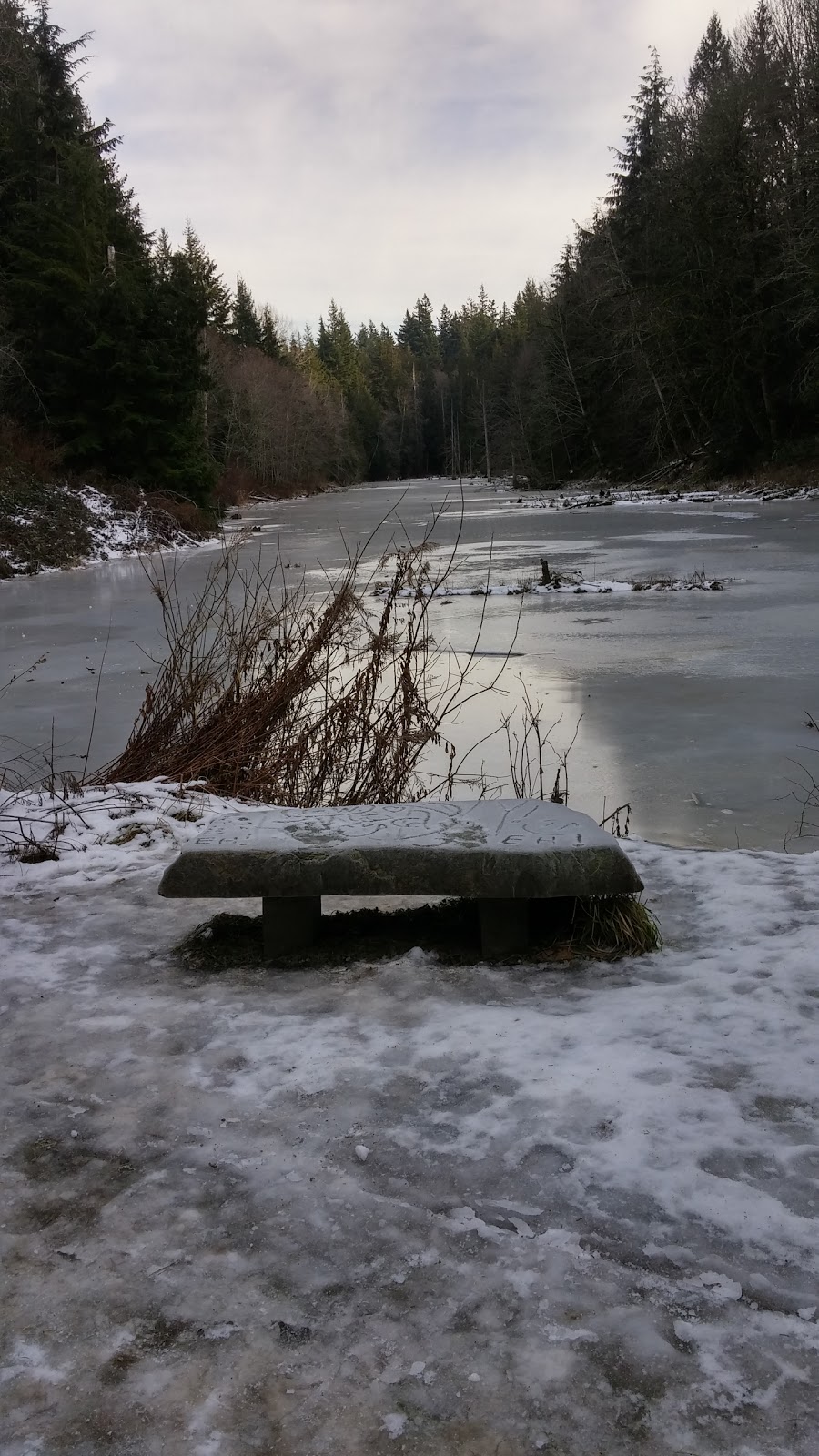 Stimpson Family Nature Reserve | 2076 Lake Louise Rd, Bellingham, WA 98229, USA | Phone: (360) 778-5850