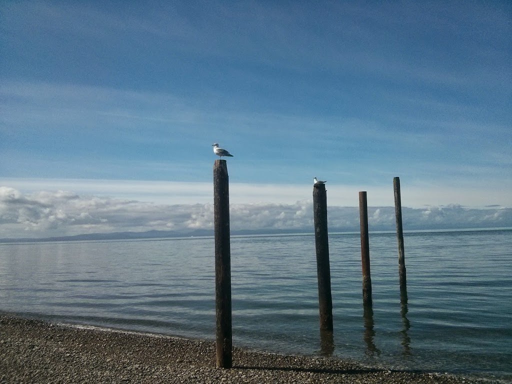 Lighthouse Marine Park | 811 Marine Dr, Point Roberts, WA 98281, USA | Phone: (360) 945-4911