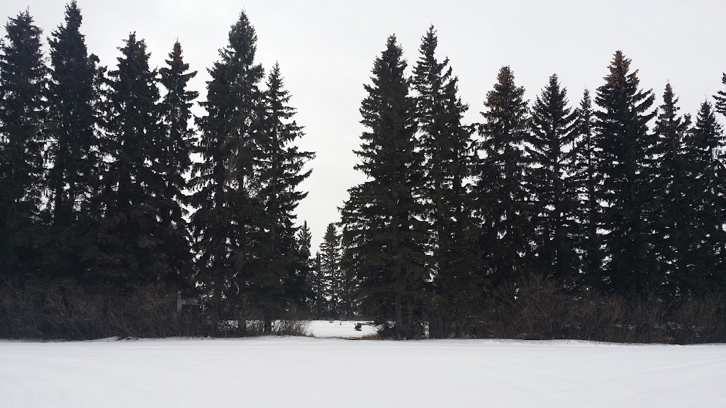 Tree House Treasures | 34 1 St N, Saint Benedict, SK S0K 3T0, Canada | Phone: (306) 289-2001