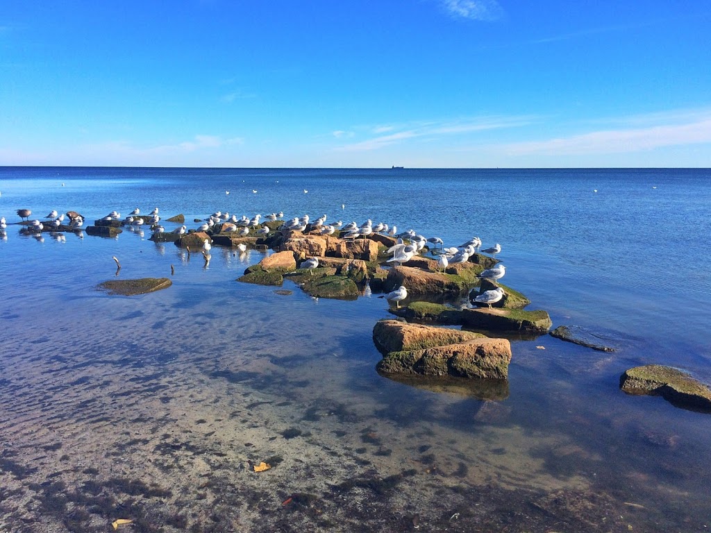 Beachway Park | 1100 Lakeshore Rd, Burlington, ON L7S 1A7, Canada | Phone: (905) 335-7736