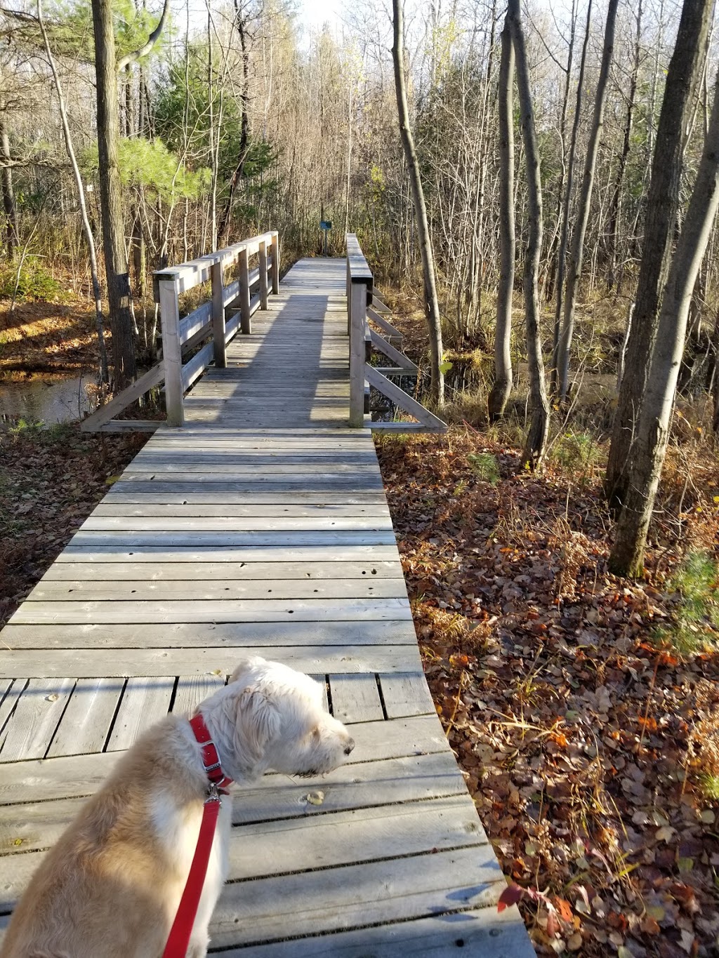 Boisé du Plan Bouchard | Plan-Bouchard, Blainville, QC J0N 1H0, Canada