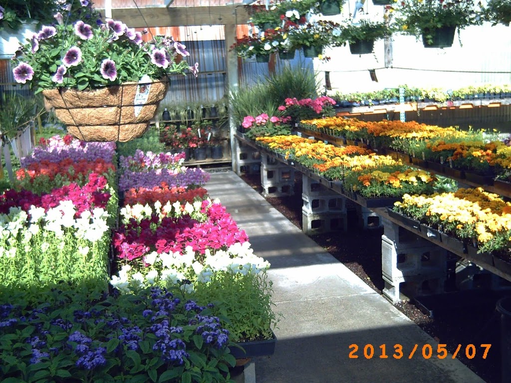 All Seasons Garden Ctr | 27491 Fraser Hwy, Aldergrove, BC V4W 3P9, Canada | Phone: (604) 856-7756