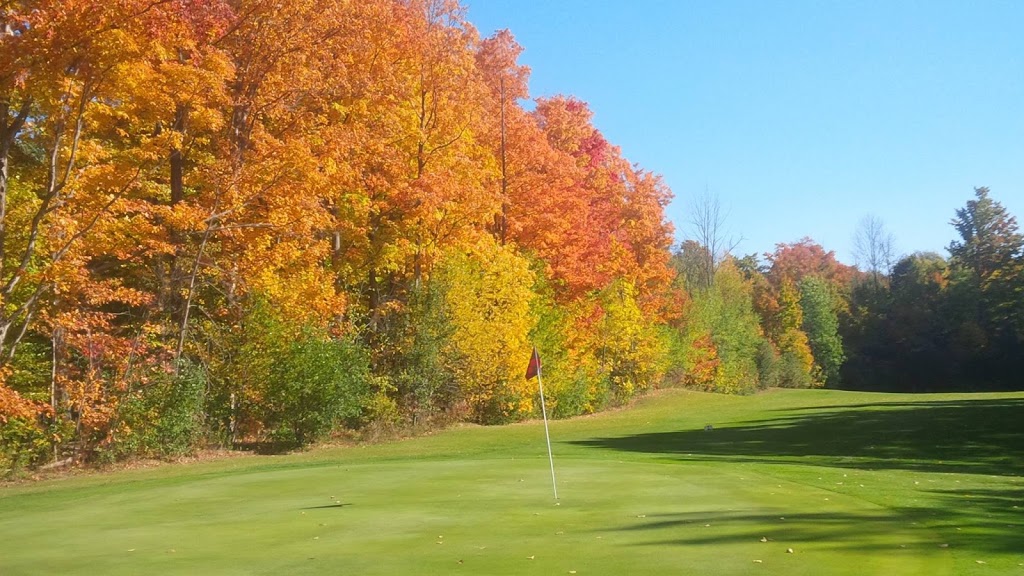 The Fox Golf Club | 15058 Elginfield Road RR #3, Granton, ON N0M 1V0, Canada | Phone: (888) 833-8787
