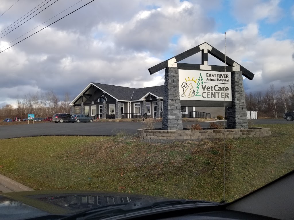 East River Animal Hospital | 200 Terra Cotta Dr, New Glasgow, NS B2H 5W5, Canada | Phone: (902) 752-6655