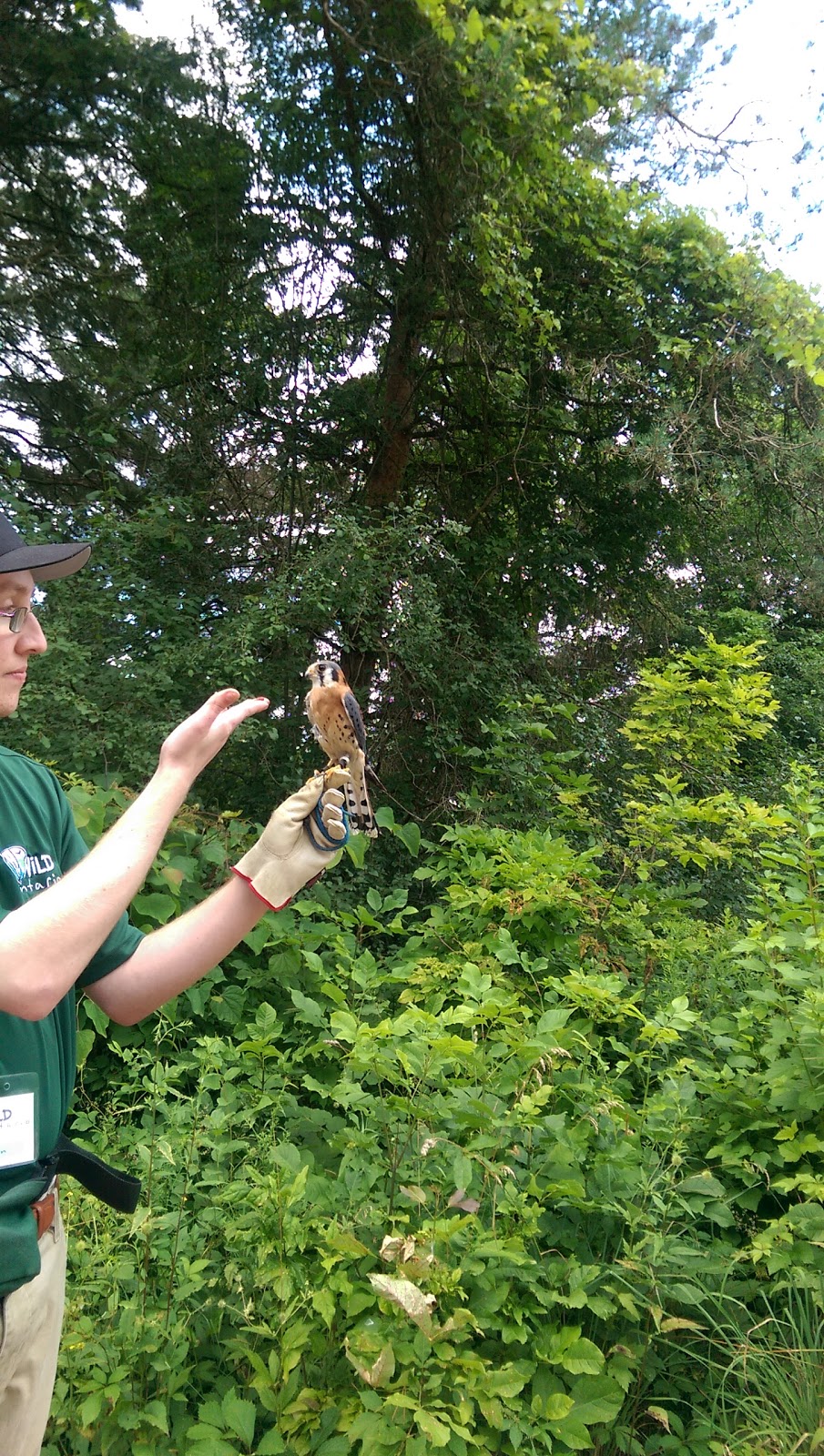 Shades Mills Nature Centre | 450 Avenue Rd, Cambridge, ON N1R 5S4, Canada | Phone: (519) 623-5573