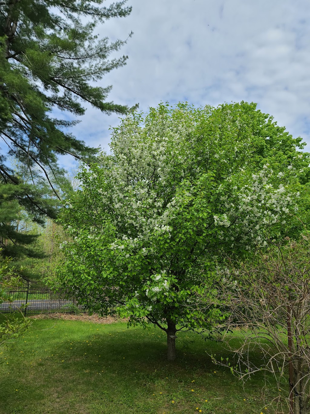 Trout River Golf | 2222 Chem. Watson, Athelstan, QC J0S 1A0, Canada | Phone: (450) 264-2272