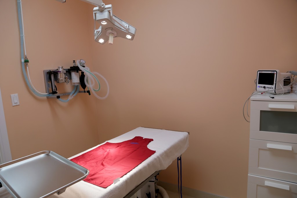 Summerside Vet Hospital Edmonton | 6941 Ellerslie Rd SW, Edmonton, AB T6X 2A1, Canada | Phone: (780) 466-4030