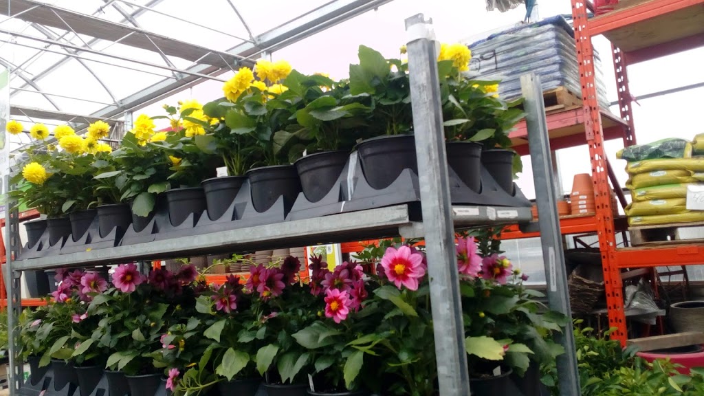 Semico Garden Center Inc | 3830 Boulevard Guillaume-Couture, Lévis, QC G6W 1H7, Canada | Phone: (418) 833-3224