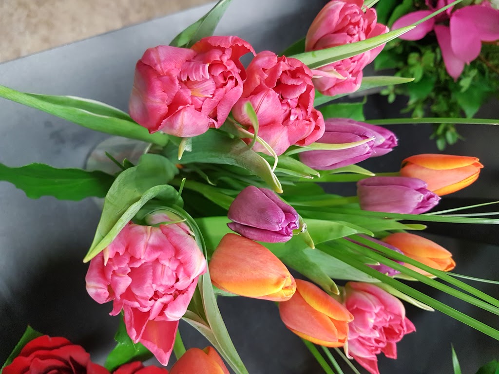 Crowfoot Panda Flowers | 205- 150 Crowfoot Crescent NW, Calgary, AB T3G 2W1, Canada | Phone: (403) 239-7673