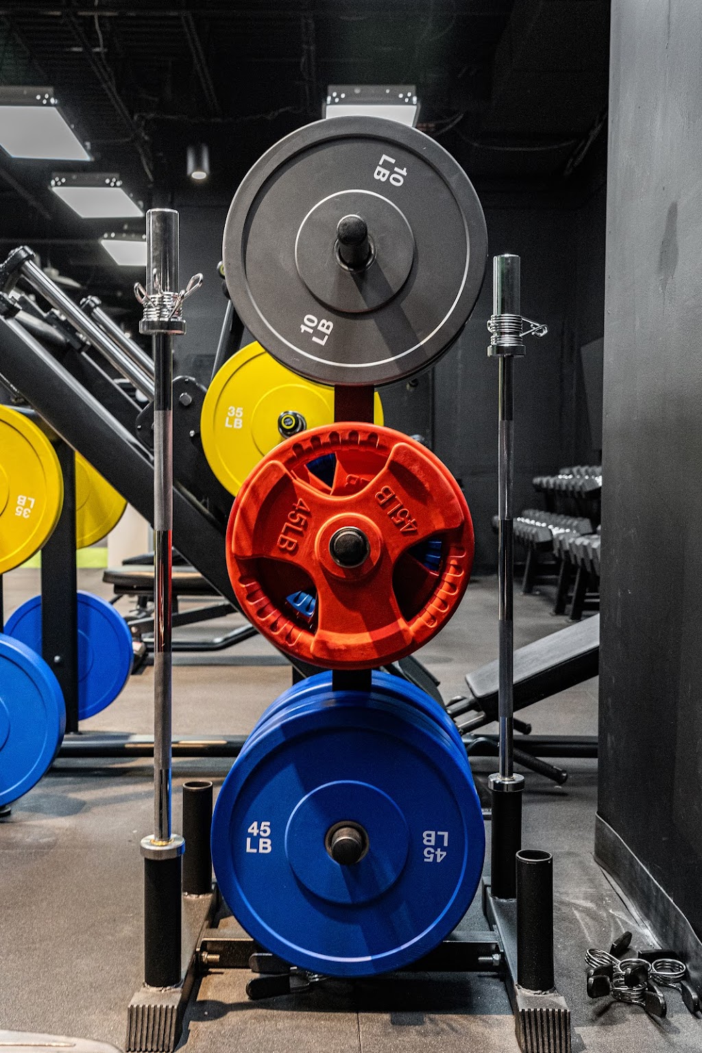 Elk Fitness | 2018 17 Ave, Didsbury, AB T0M 0W0, Canada | Phone: (647) 821-4541