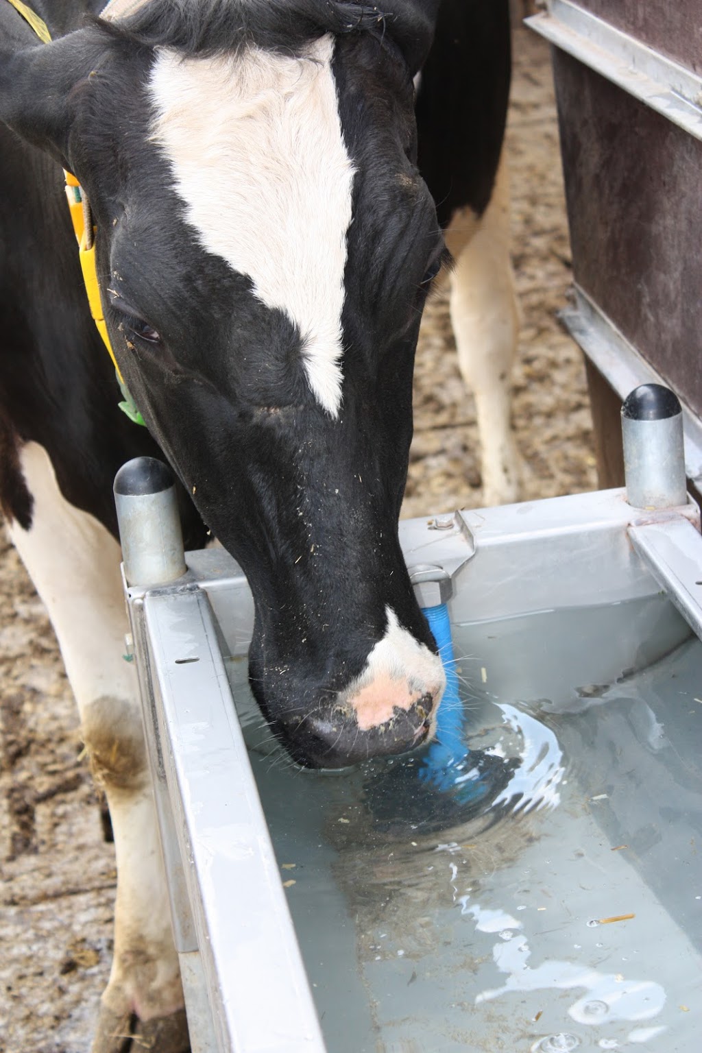 Agriclé | 1 Rue Industrielle, Sainte-Cécile-de-Milton, QC J0E 2C0, Canada | Phone: (450) 994-3130