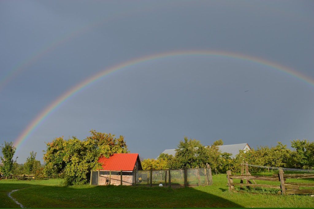 Ferme Pédagogique Marichel Inc | 809 Rang Bois Franc, Sainte-Agathe-de-Lotbinière, QC G0S 2A0, Canada | Phone: (418) 599-2949