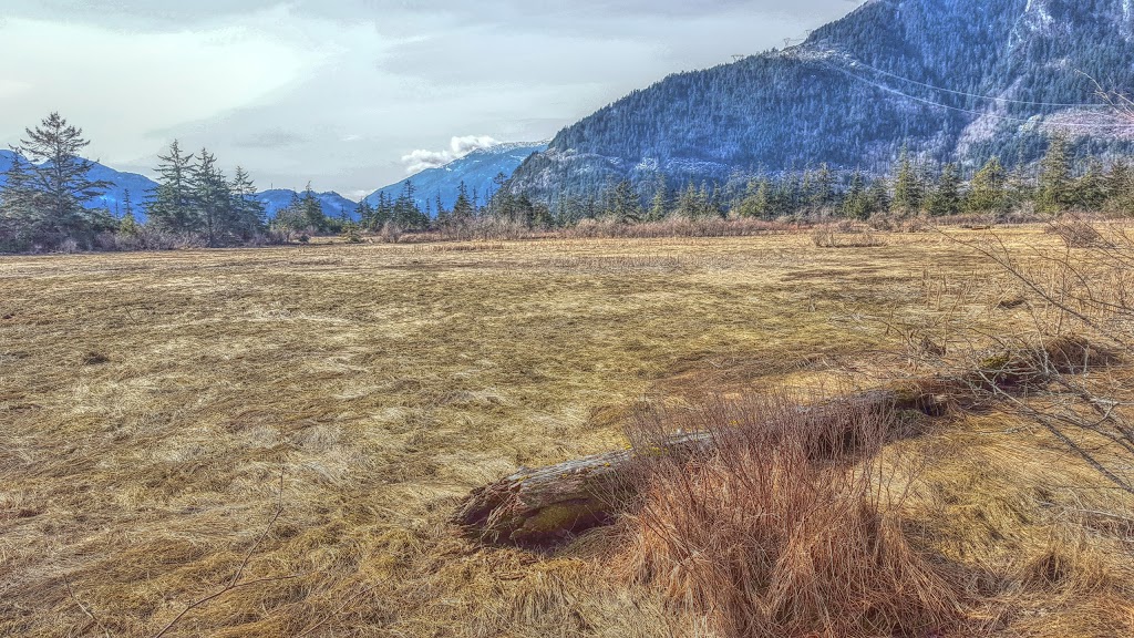 Estuary Chelem Trail | Squamish, BC V8B, Canada
