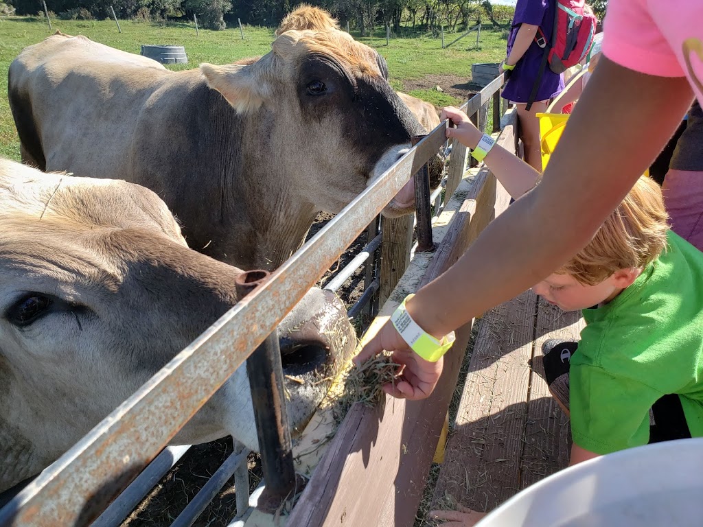 Old McDonalds Farm | 14369 County Rd 145, Sackets Harbor, NY 13685, USA | Phone: (315) 583-5737