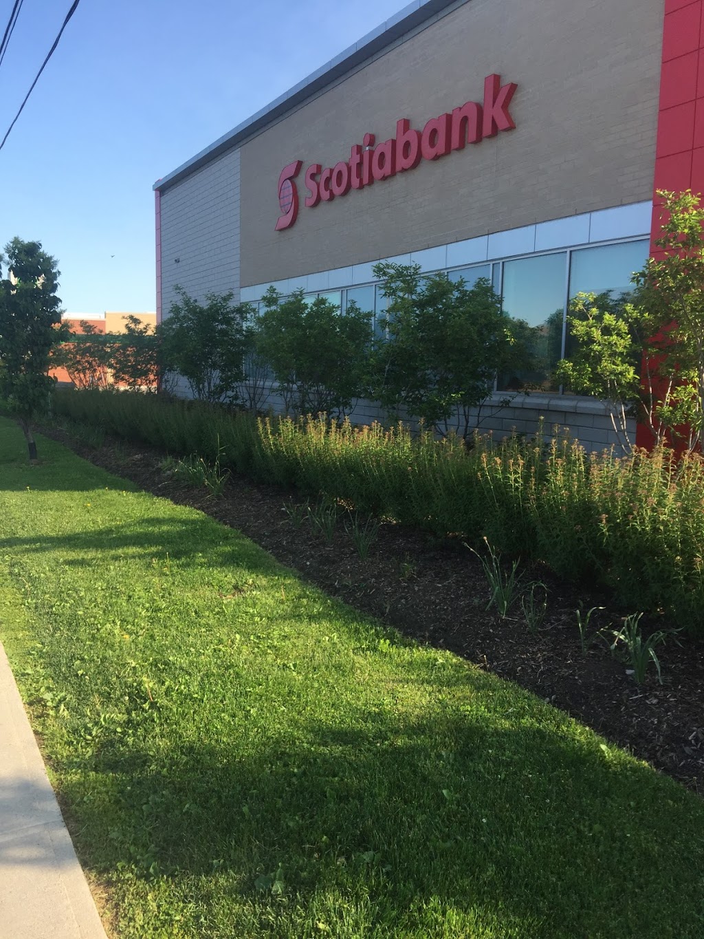 Scotiabank | 10645 Bramalea Rd, Brampton, ON L6R 0C1, Canada | Phone: (905) 792-2699