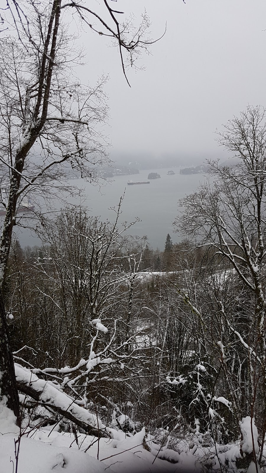 Burnaby Mountain Biking and Hiking Trails | University Dr E, Burnaby, BC V5A 4Y8, Canada | Phone: (604) 294-7944