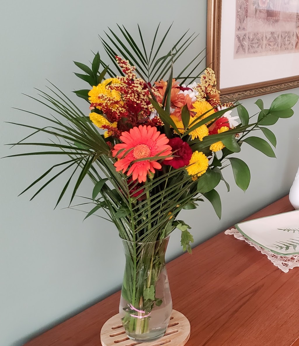 Plants & Planet | 2372 Lake Shore Blvd W, Etobicoke, ON M8V 1B6, Canada | Phone: (416) 252-8002