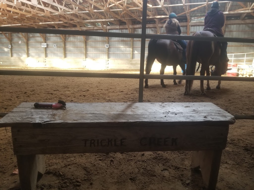 Trickle Creek Farms | 5723 10th Line, Millbrook, ON L0A 1G0, Canada | Phone: (705) 872-8286