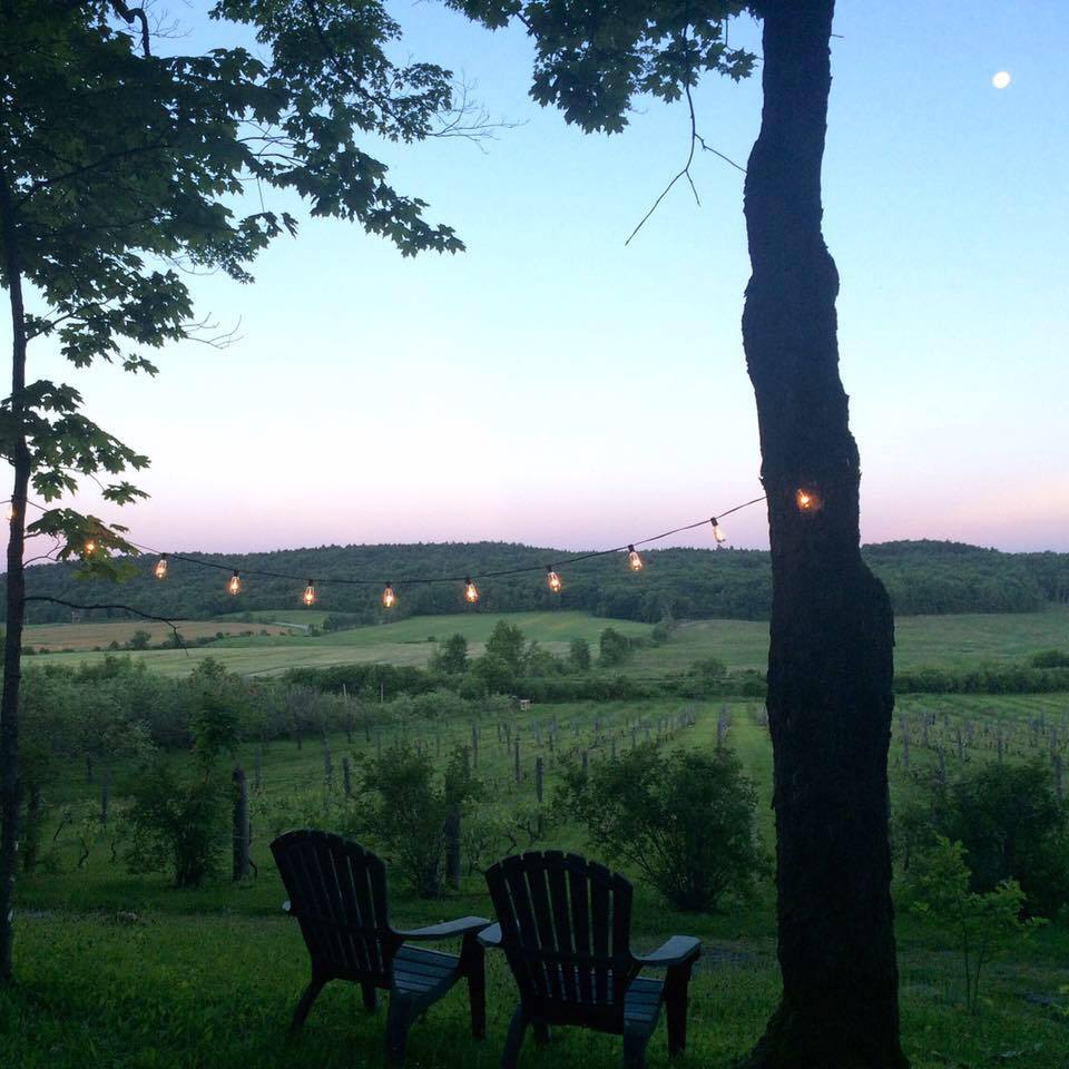 Clos Sainte-Thècle | SUR RENDEZ-VOUS SEULEMENT, 171 Rue du Vignoble, Sainte-Thècle, QC G0X 3G0, Canada | Phone: (581) 781-8468