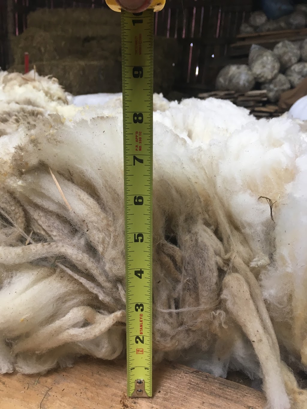 Kristas Sheep. Lamb meat...nurtured naturally, with care, from conception to completion. | 5588 NS-331, LaHave, NS B0R 1C0, Canada | Phone: (902) 693-2065