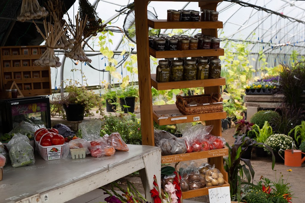 Seeds of Creation | 8744 ON-60, Eganville, ON K0J 1T0, Canada | Phone: (613) 628-5313