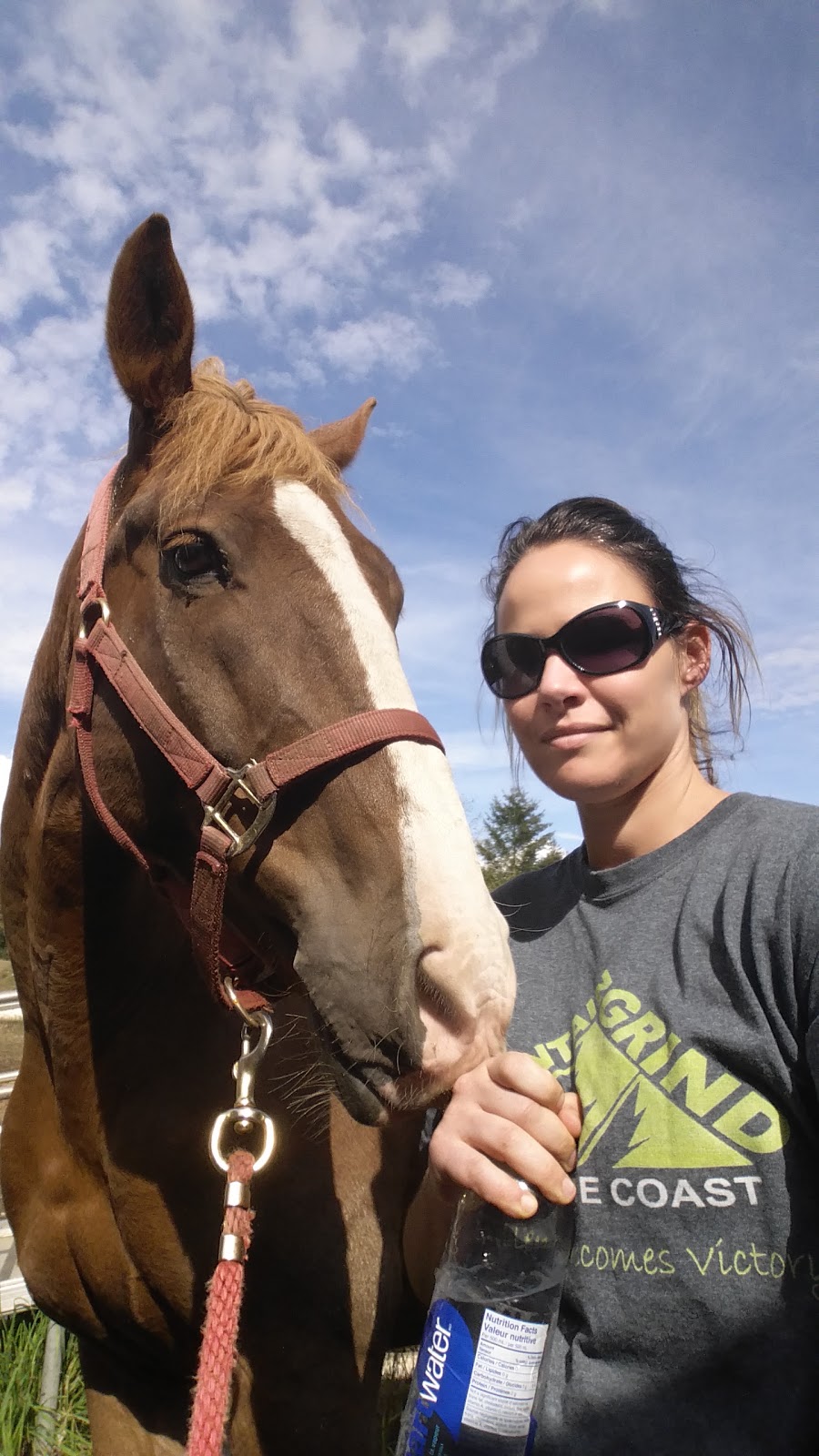Mason Bluff Turf Farm | 6065 Mason Rd, Sechelt, BC V0N 3A8, Canada | Phone: (604) 885-4184