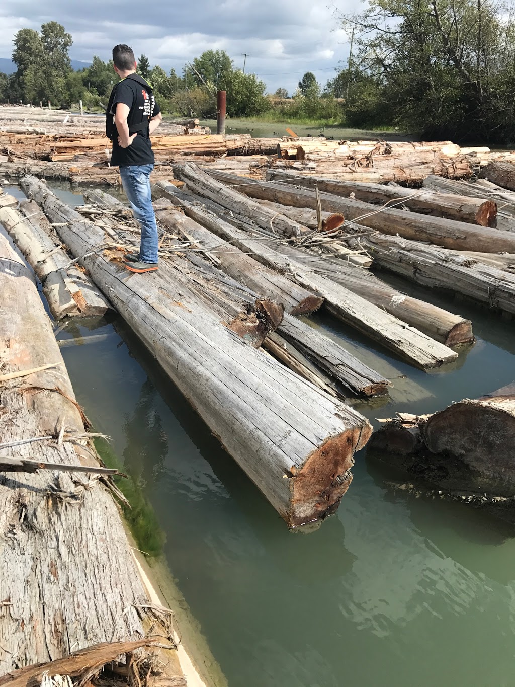 Platinum Cedar Sales | 3542 McKinley Dr, Abbotsford, BC V2S 8M6, Canada | Phone: (604) 615-2534