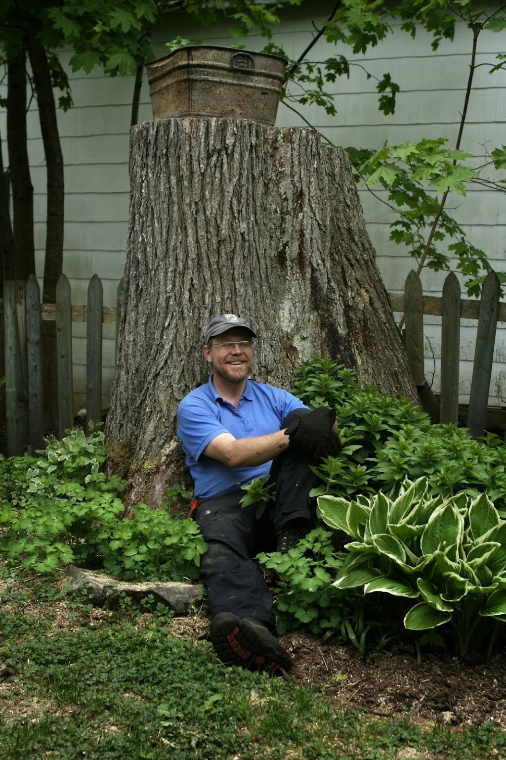 Woodpecker Tree Care NB | 95 Salem St, Sackville, NB E4L 4K1, Canada | Phone: (506) 536-0021