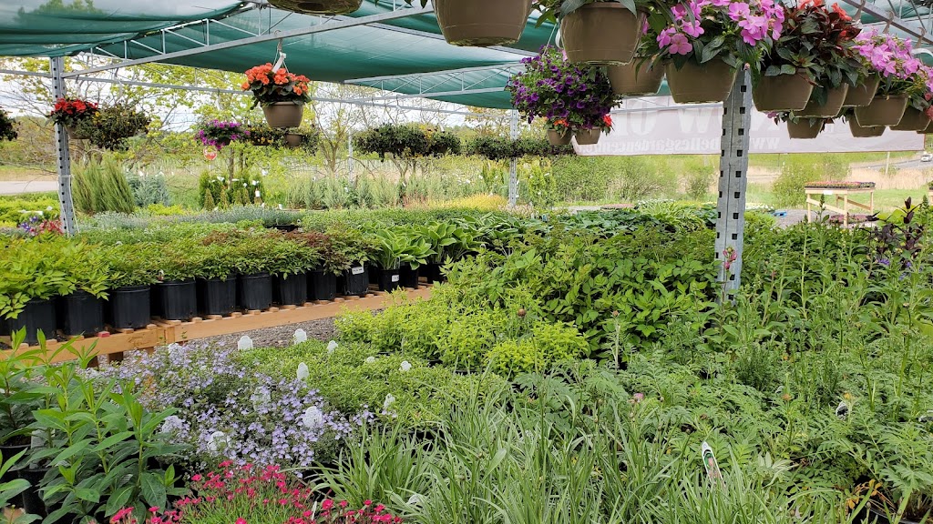 La Belle’s Garden Centre | 6th Concession Rd, Pickering, ON L1X 0J6, Canada | Phone: (905) 391-0912