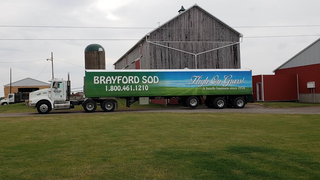 Brayford Sod Farm | 5761 County Rd 15, Alliston, ON L9R 1V9, Canada | Phone: (705) 435-7707